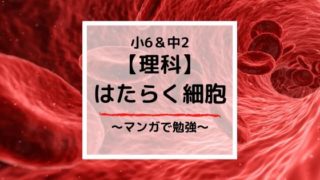 理科の勉強に漫画！小学＆中学生におすすめ『はたらく細胞』って知ってる？