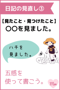 日記の見直しポイント③見たこと・見つけたこと