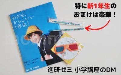 進研ゼミ小学講座の資料請求で届くDM