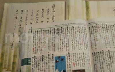 国語の教科書を使った勉強法③意味しらべ